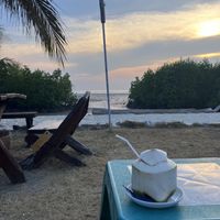 coconut / view  at JJs Bar & Grill in Koh Phayam
