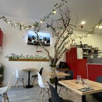 Welcoming and friendly   at Le Rouge-gorge Restaurant in Menton