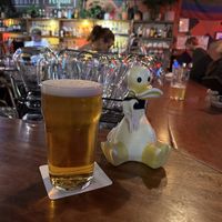 My tab Duck  at Cornish Arms in Brunswick