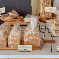  at Janggogae 1987 in Busan