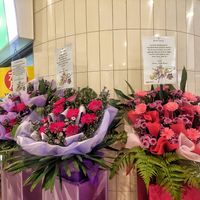 Congrats on their opening at Origanics - 启点 - Sengkang Grand Mall in Northeast Singapore