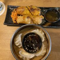 Two starters (~5€ each), both tasty, but I preferred the dumplings  at Gaia Garden in Gottingen