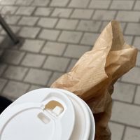   at Cadets de Gascogne - Ģertrūdes in Riga