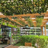 outside dining
 at Clover Coffee + MarketPlace in Oranjestad