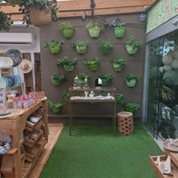  at Clover Coffee + MarketPlace in Oranjestad