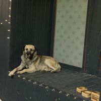   at White Rabbit  in Lamezia Terme