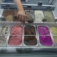 The whole front row is vegan flavours at L'arte del Gelato in Santa Teresa