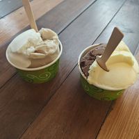 Vegan Gelato at L'arte del Gelato in Santa Teresa