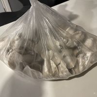 Frozen dumplings I bought to bring homee  at Homemade Vegan Dumpling House  in New York City