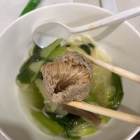   at Homemade Vegan Dumpling House  in New York City