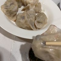   at Homemade Vegan Dumpling House  in New York City