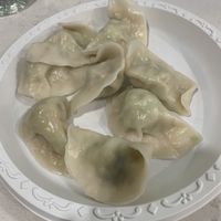  #Veganuary at Homemade Vegan Dumpling House  in New York City