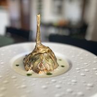   at Alchimia Vegetale in Pontassieve