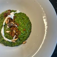 Italian risotto at Alchimia Vegetale in Pontassieve