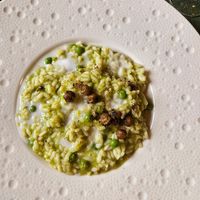 Risotto al pesto di piselli, zenzero con latte  di cocco e feci spezzati at Alchimia Vegetale in Pontassieve