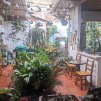 Inside of El Jardín De Jardín. at El Jardín de Jardín in Jardin