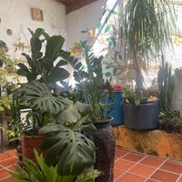   at El Jardín de Jardín in Jardin