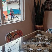  at El Jardín de Jardín in Jardin