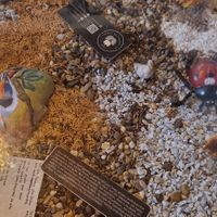  at El Jardín de Jardín in Jardin