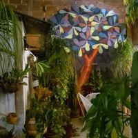  at El Jardín de Jardín in Jardin