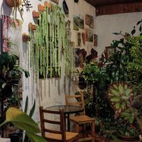  at El Jardín de Jardín in Jardin