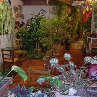  at El Jardín de Jardín in Jardin