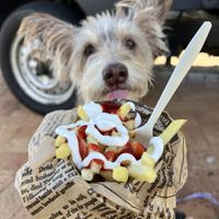   at Vegan Streetfood ZA - Food Truck in Cape Town