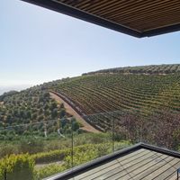   at Vegan Tours Cape Town in Cape Town