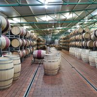   at Vegan Tours Cape Town in Cape Town