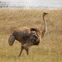  at Vegan Tours Cape Town in Cape Town