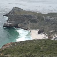  at Vegan Tours Cape Town in Cape Town