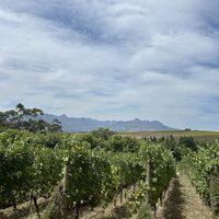   at Vegan Tours Cape Town in Cape Town