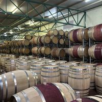   at Vegan Tours Cape Town in Cape Town