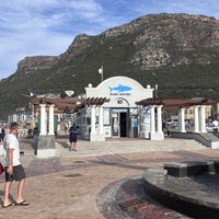   at Vegan Tours Cape Town in Cape Town