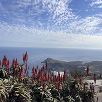   at Vegan Tours Cape Town in Cape Town