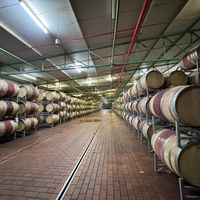   at Vegan Tours Cape Town in Cape Town