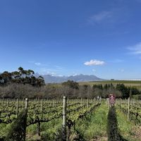   at Vegan Tours Cape Town in Cape Town