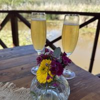   at Vegan Tours Cape Town in Cape Town