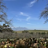   at Vegan Tours Cape Town in Cape Town