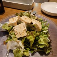 Salad is top tier at Vegan and Gluten Free Osaka. - The Second Room Cafe in Osaka