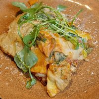  at Planttrekkerij  in Antwerpen