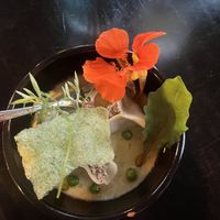   at Planttrekkerij  in Antwerpen