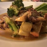   at Planttrekkerij  in Antwerpen