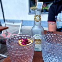 Drinks at Planttrekkerij  in Antwerpen