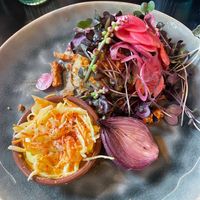   at Planttrekkerij  in Antwerpen