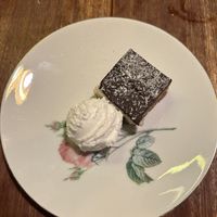   at Planttrekkerij  in Antwerpen