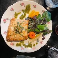 Vidée Queen's Flap  at Planttrekkerij  in Antwerpen