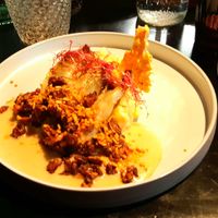 Oven chicory at Planttrekkerij  in Antwerpen