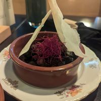  at Planttrekkerij  in Antwerpen