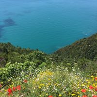 View near Volastra  at Chiosco del Sole Volastra in Riomaggiore